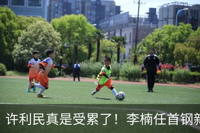 许利民真是受累了！李楠任首钢新主帅，赵睿态度亮了，这次争冠真难了